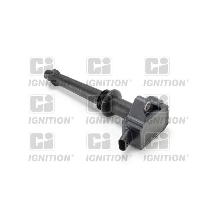 Ritė, uždegimas QUINTON HAZELL XIC8558