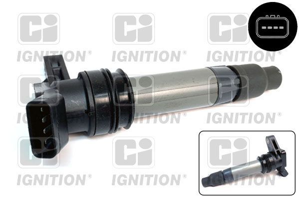 Ritė, uždegimas QUINTON HAZELL XIC8559