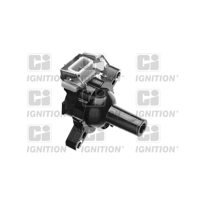 Ritė, uždegimas QUINTON HAZELL XIC8568