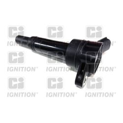 Ritė, uždegimas QUINTON HAZELL XIC8586