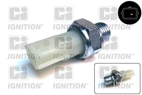 Alyvos slėgio jungiklis QUINTON HAZELL XOPS218