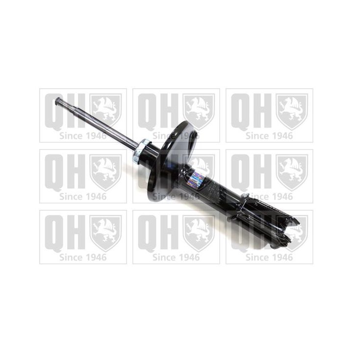 Amortizatorius QUINTON HAZELL QAG178733