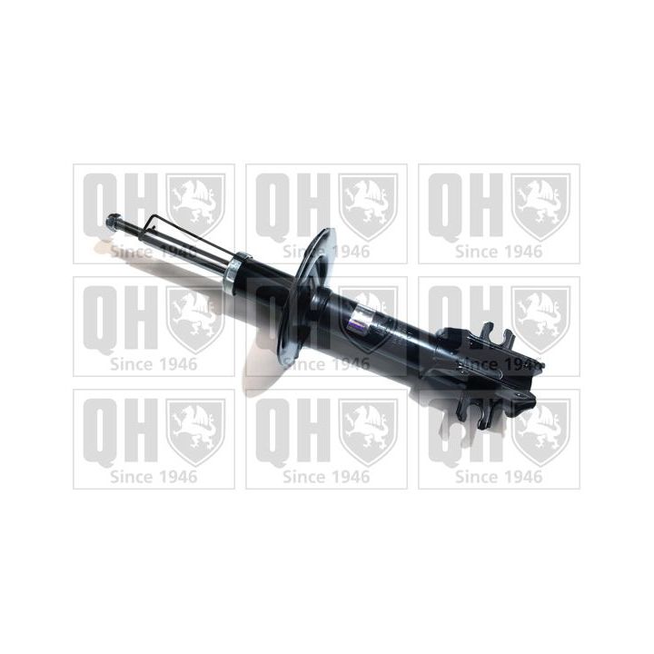 Amortizatorius QUINTON HAZELL QAG178734