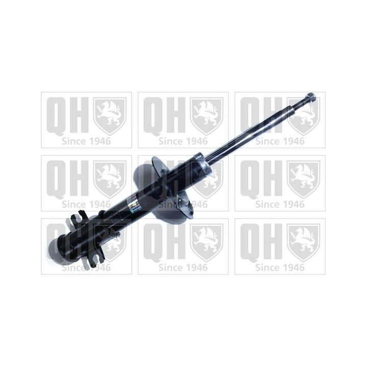 Amortizatorius QUINTON HAZELL QAG178736