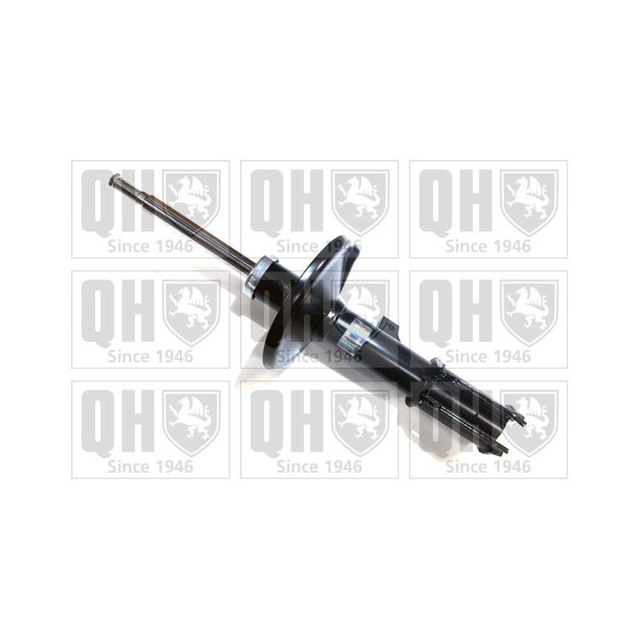 Amortizatorius QUINTON HAZELL QAG178798