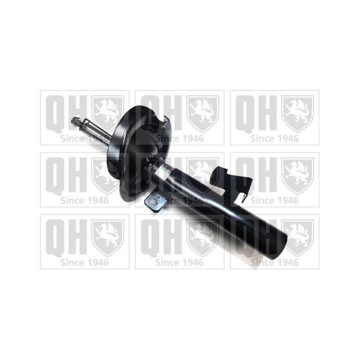 Amortizatorius QUINTON HAZELL QAG178924