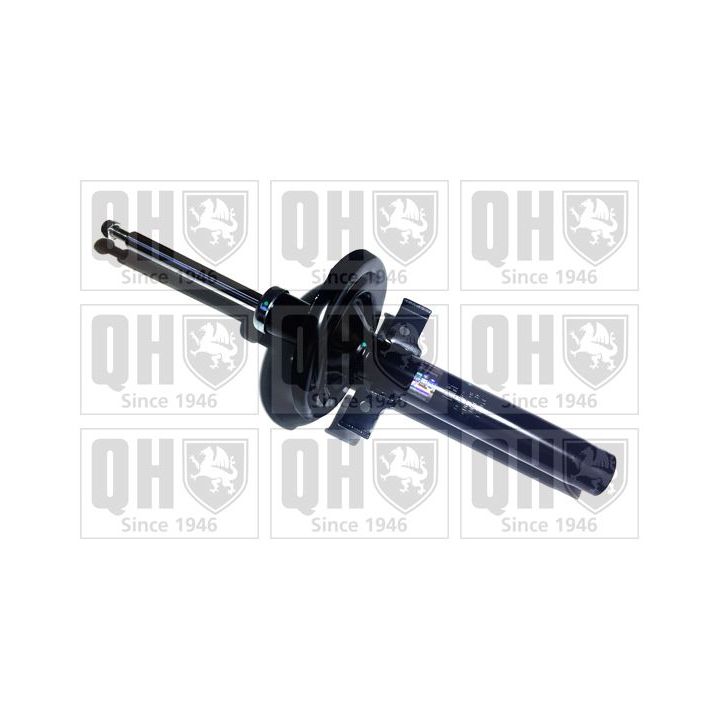 Amortizatorius QUINTON HAZELL QAG178989