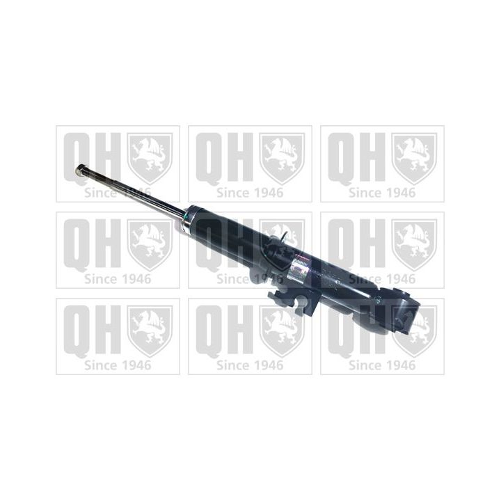 Amortizatorius QUINTON HAZELL QAG179781