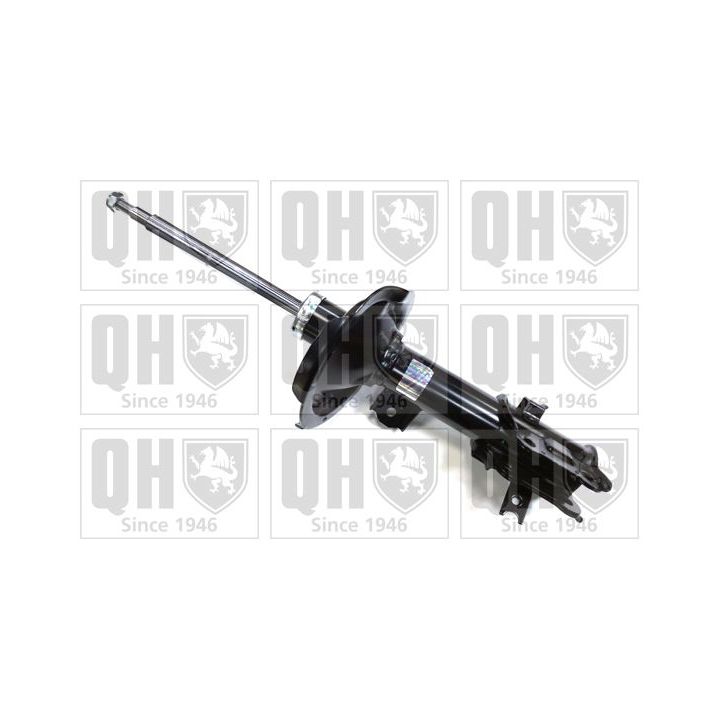 Amortizatorius QUINTON HAZELL QAG181014