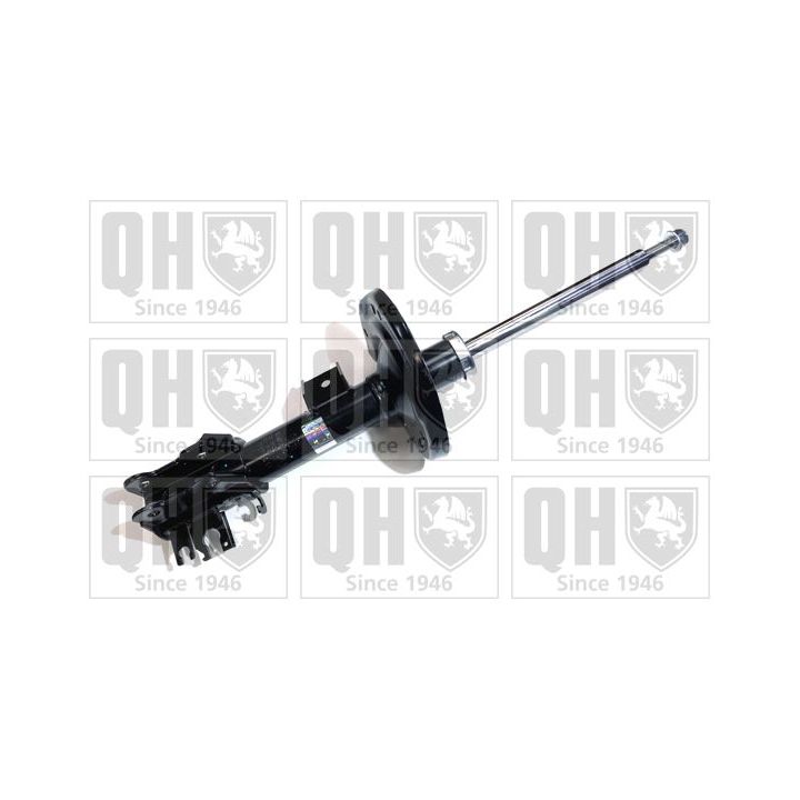 Amortizatorius QUINTON HAZELL QAG181017