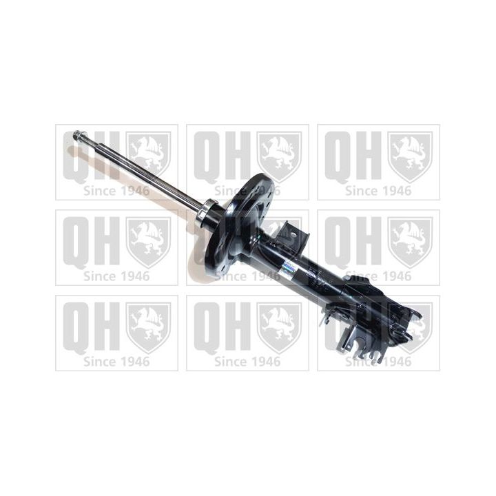 Amortizatorius QUINTON HAZELL QAG181018