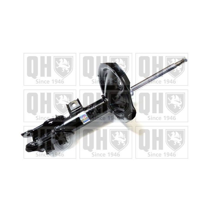 Amortizatorius QUINTON HAZELL QAG181047