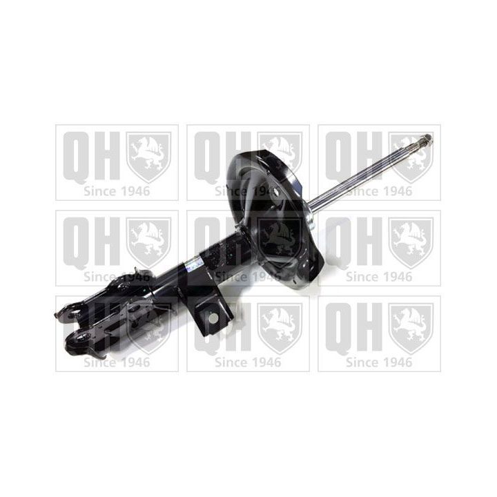 Amortizatorius QUINTON HAZELL QAG181048