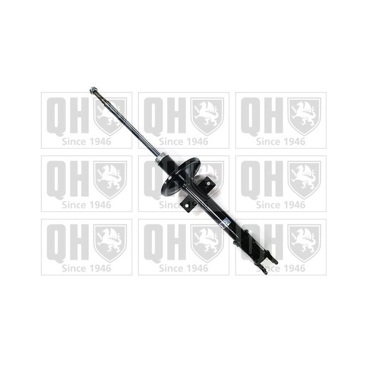 Amortizatorius QUINTON HAZELL QAG181051
