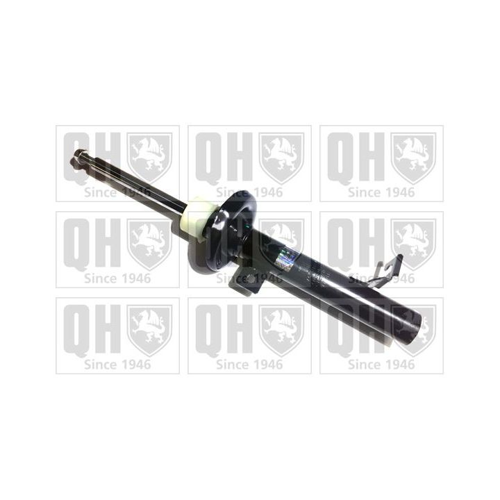 Amortizatorius QUINTON HAZELL QAG181151