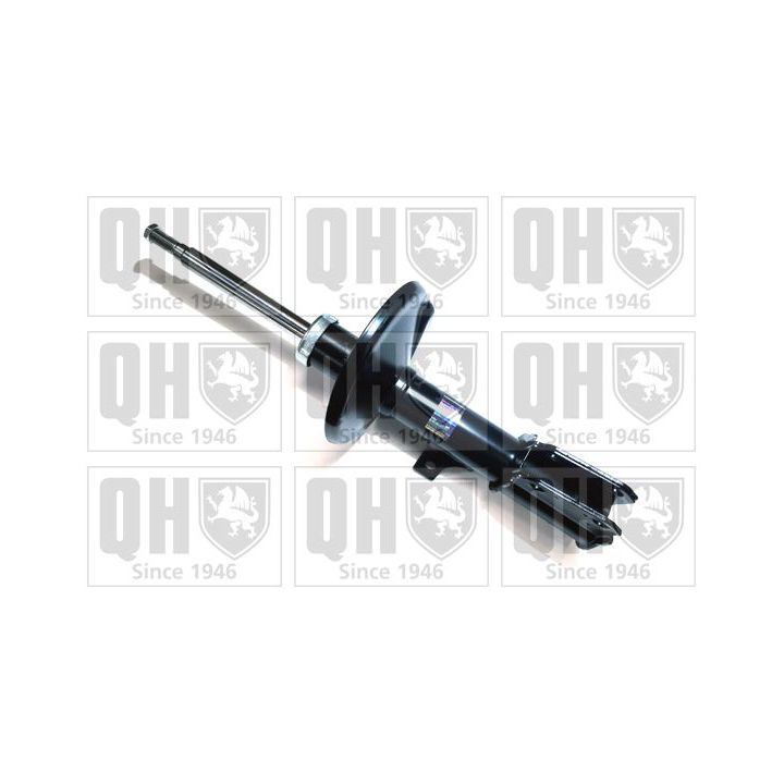 Amortizatorius QUINTON HAZELL QAG181188