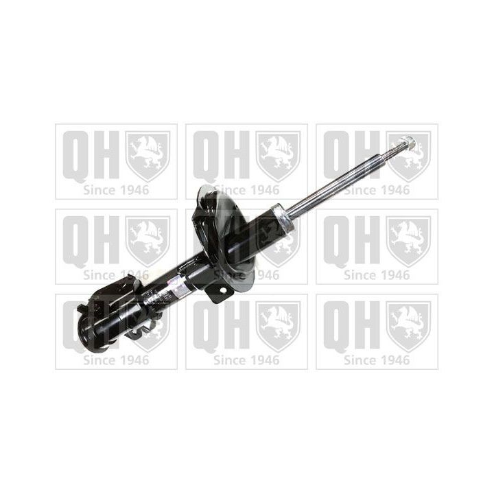 Amortizatorius QUINTON HAZELL QAG181203