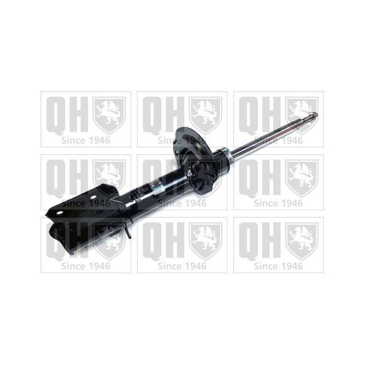 Amortizatorius QUINTON HAZELL QAG181212