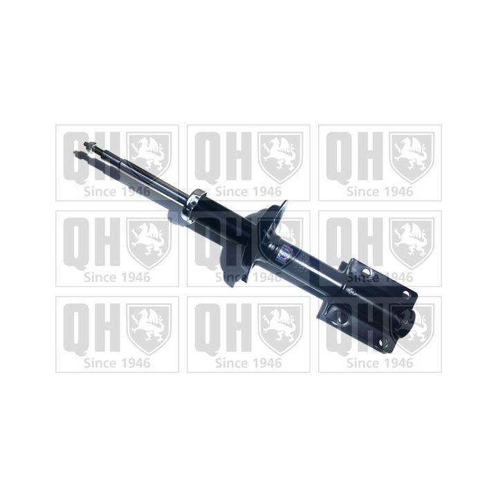 Amortizatorius QUINTON HAZELL QAG181314