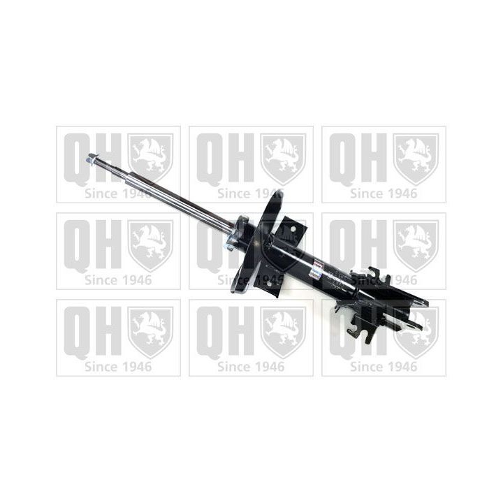 Amortizatorius QUINTON HAZELL QAG181326