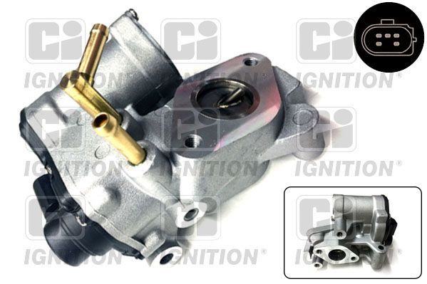 ERG vožtuvas QUINTON HAZELL XEGR167