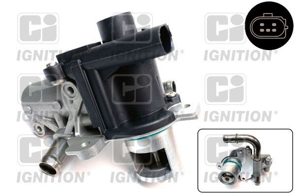 ERG vožtuvas QUINTON HAZELL XEGR201