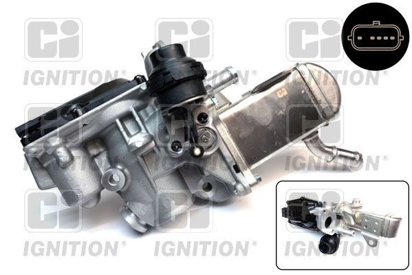 ERG vožtuvas QUINTON HAZELL XEGR223