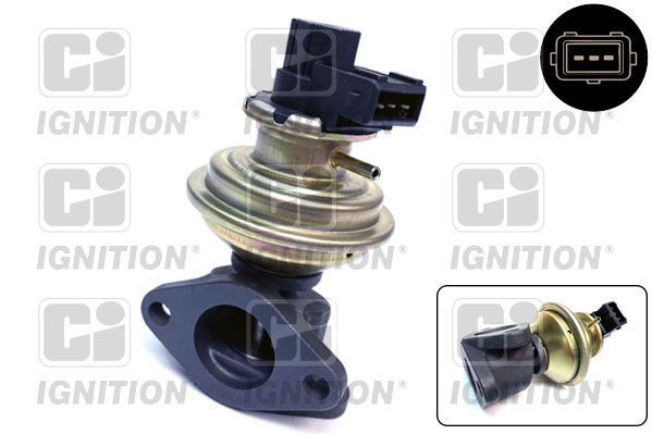 ERG vožtuvas QUINTON HAZELL XEGR244