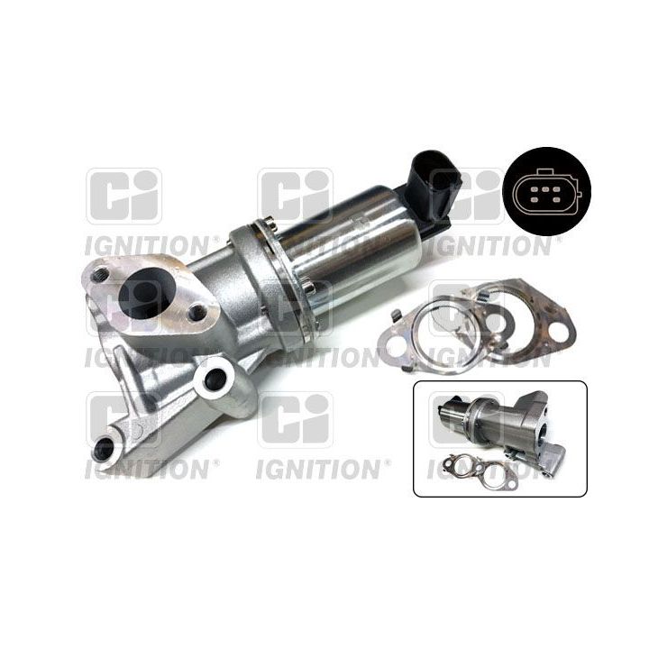 ERG vožtuvas QUINTON HAZELL XEGR249