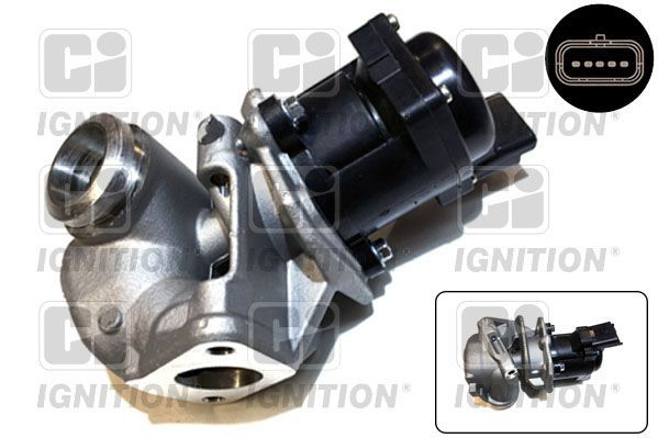 ERG vožtuvas QUINTON HAZELL XEGR31