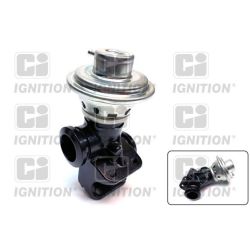 ERG vožtuvas QUINTON HAZELL XEGR38