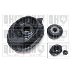 Pakabos statramsčio atraminis guolis QUINTON HAZELL EMA4847