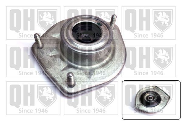 Pakabos statramsčio atraminis guolis QUINTON HAZELL EMA4937