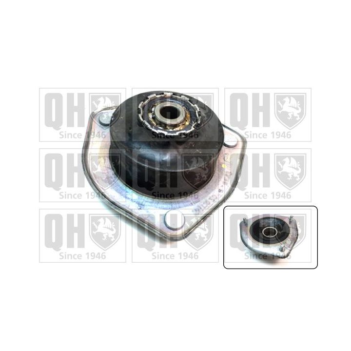 Pakabos statramsčio atraminis guolis QUINTON HAZELL EMA4939