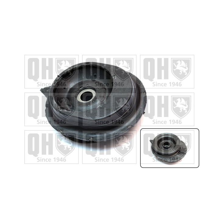 Pakabos statramsčio atraminis guolis QUINTON HAZELL EMA5037