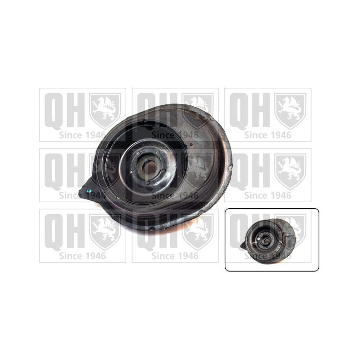 Pakabos statramsčio atraminis guolis QUINTON HAZELL EMA5038