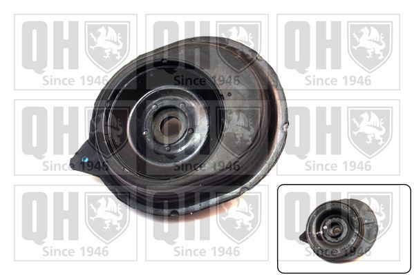 Pakabos statramsčio atraminis guolis QUINTON HAZELL EMA5038