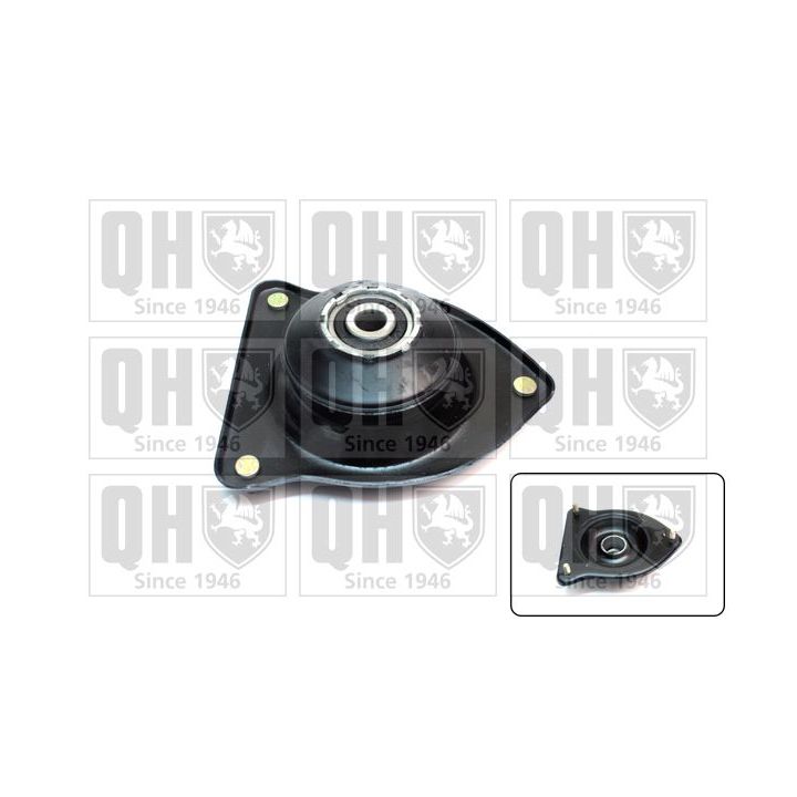 Pakabos statramsčio atraminis guolis QUINTON HAZELL EMA5051