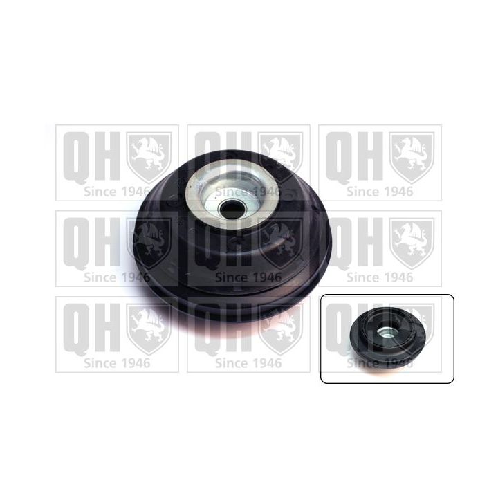 Pakabos statramsčio atraminis guolis QUINTON HAZELL EMA5052