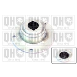 Pakabos statramsčio atraminis guolis QUINTON HAZELL EMR1785