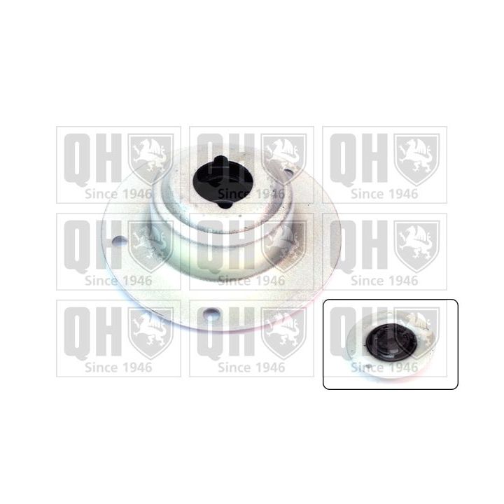 Pakabos statramsčio atraminis guolis QUINTON HAZELL EMR1785