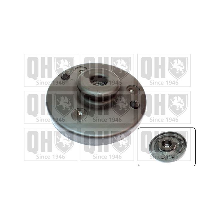 Pakabos statramsčio atraminis guolis QUINTON HAZELL EMR2521