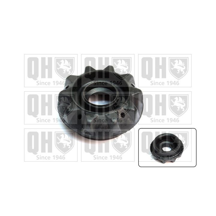 Pakabos statramsčio atraminis guolis QUINTON HAZELL EMR4945