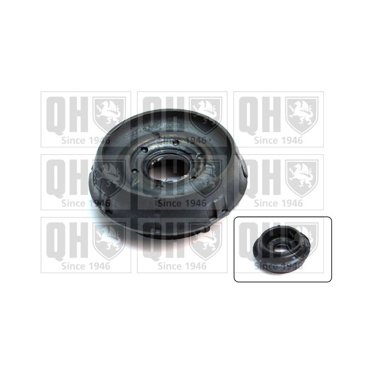 Pakabos statramsčio atraminis guolis QUINTON HAZELL EMR5045