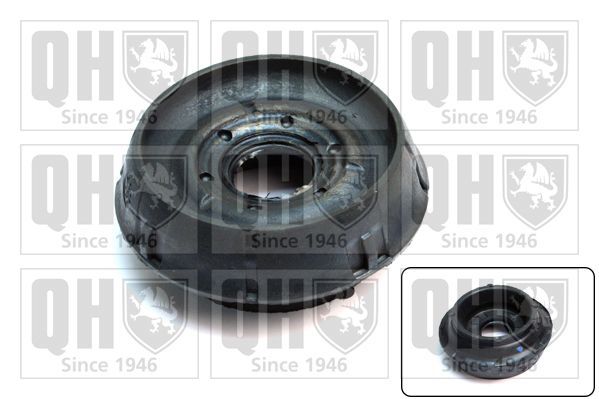 Pakabos statramsčio atraminis guolis QUINTON HAZELL EMR5045