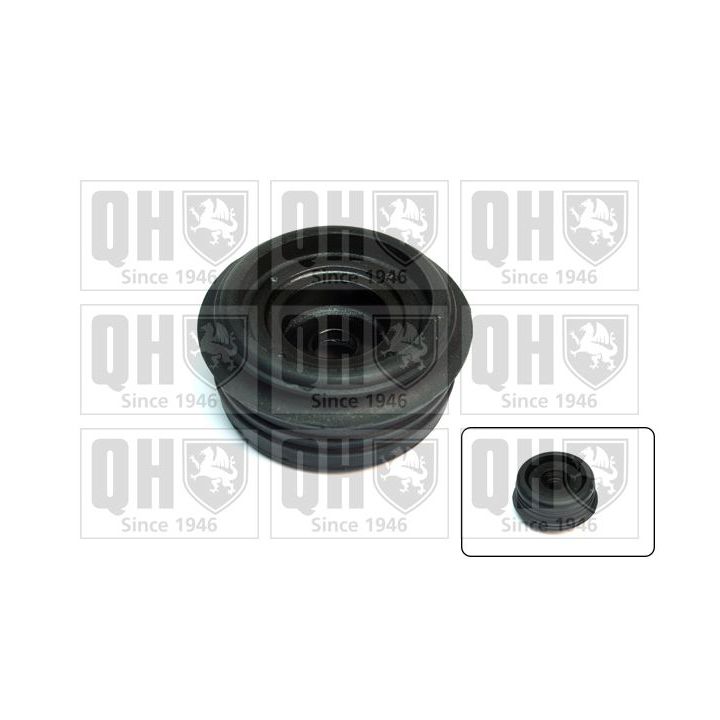 Pakabos statramsčio atraminis guolis QUINTON HAZELL EMR6076