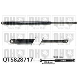 Dujinė spyruoklė, sulankstomas stogas QUINTON HAZELL QTS828717