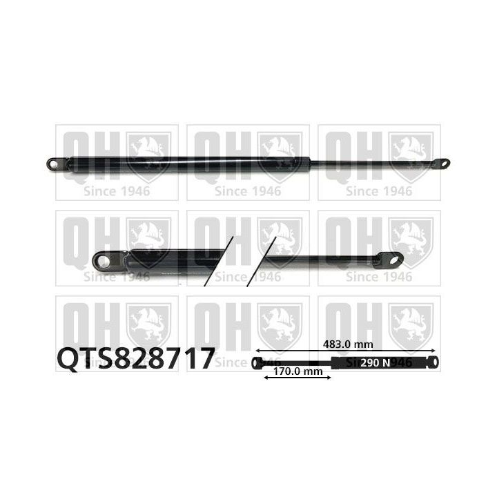 Dujinė spyruoklė, sulankstomas stogas QUINTON HAZELL QTS828717