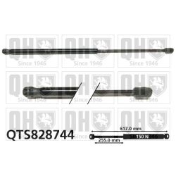 Dujinė spyruoklė, sulankstomas stogas QUINTON HAZELL QTS828744