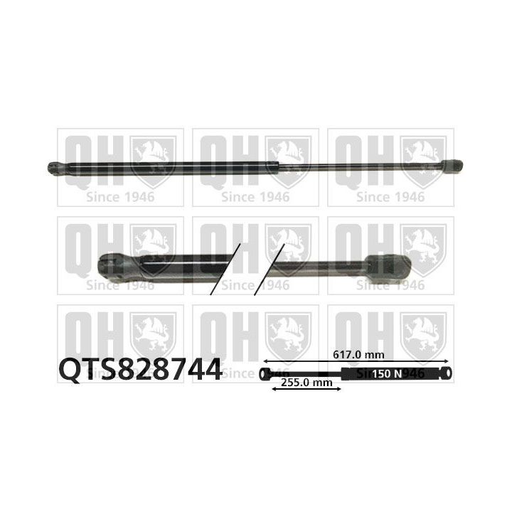 Dujinė spyruoklė, sulankstomas stogas QUINTON HAZELL QTS828744